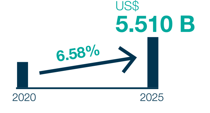2025 Strategy
