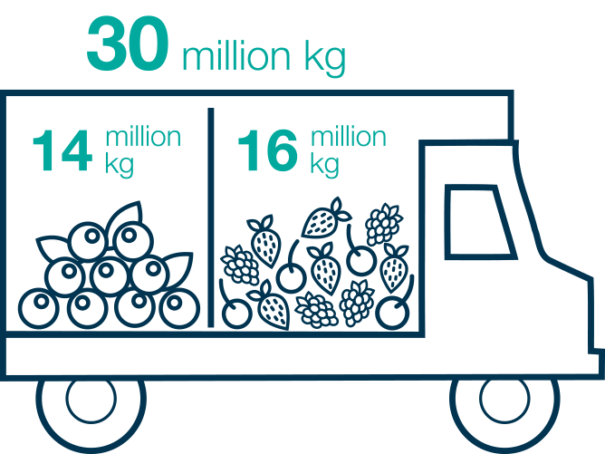VitaFoods Story