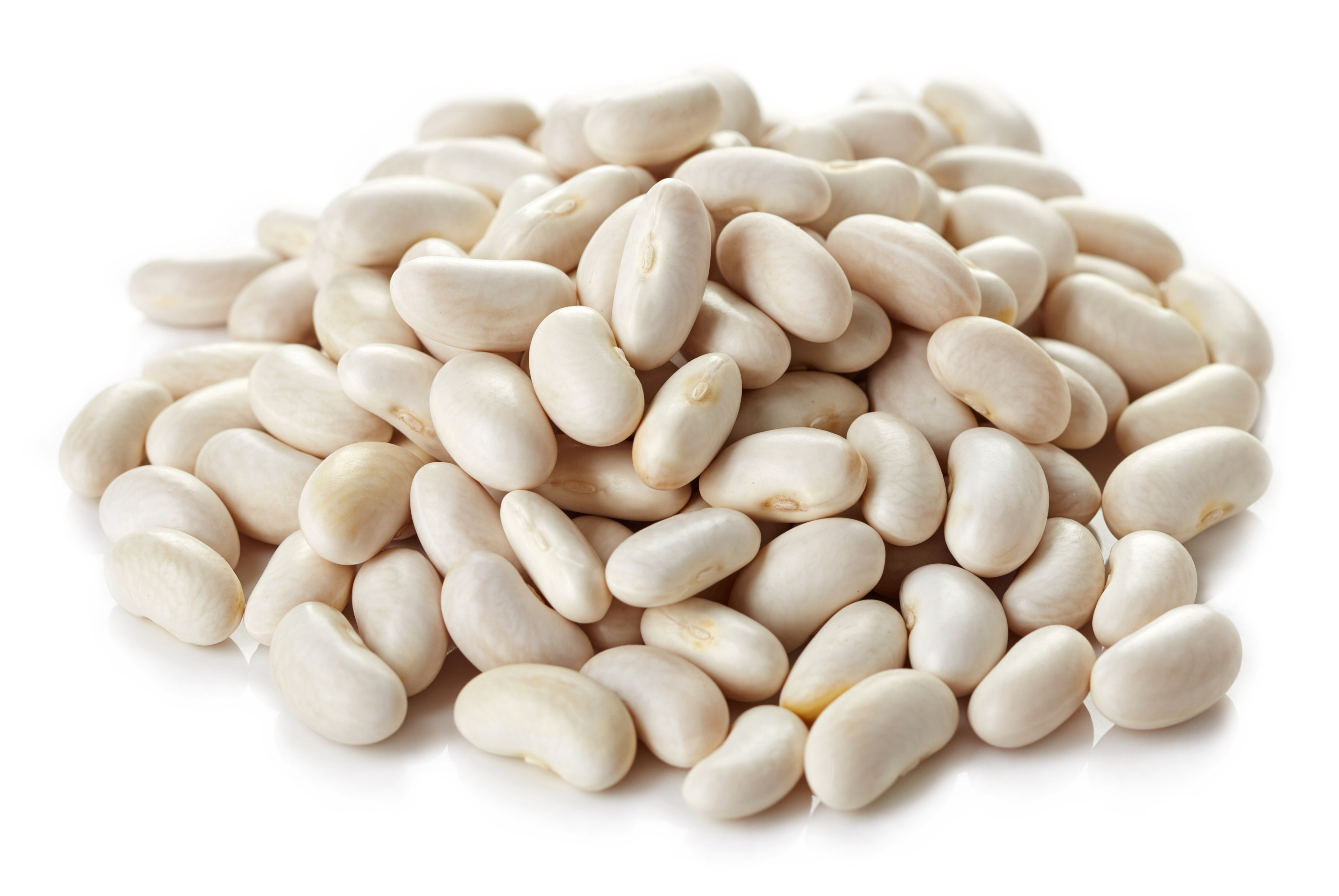 beans white background