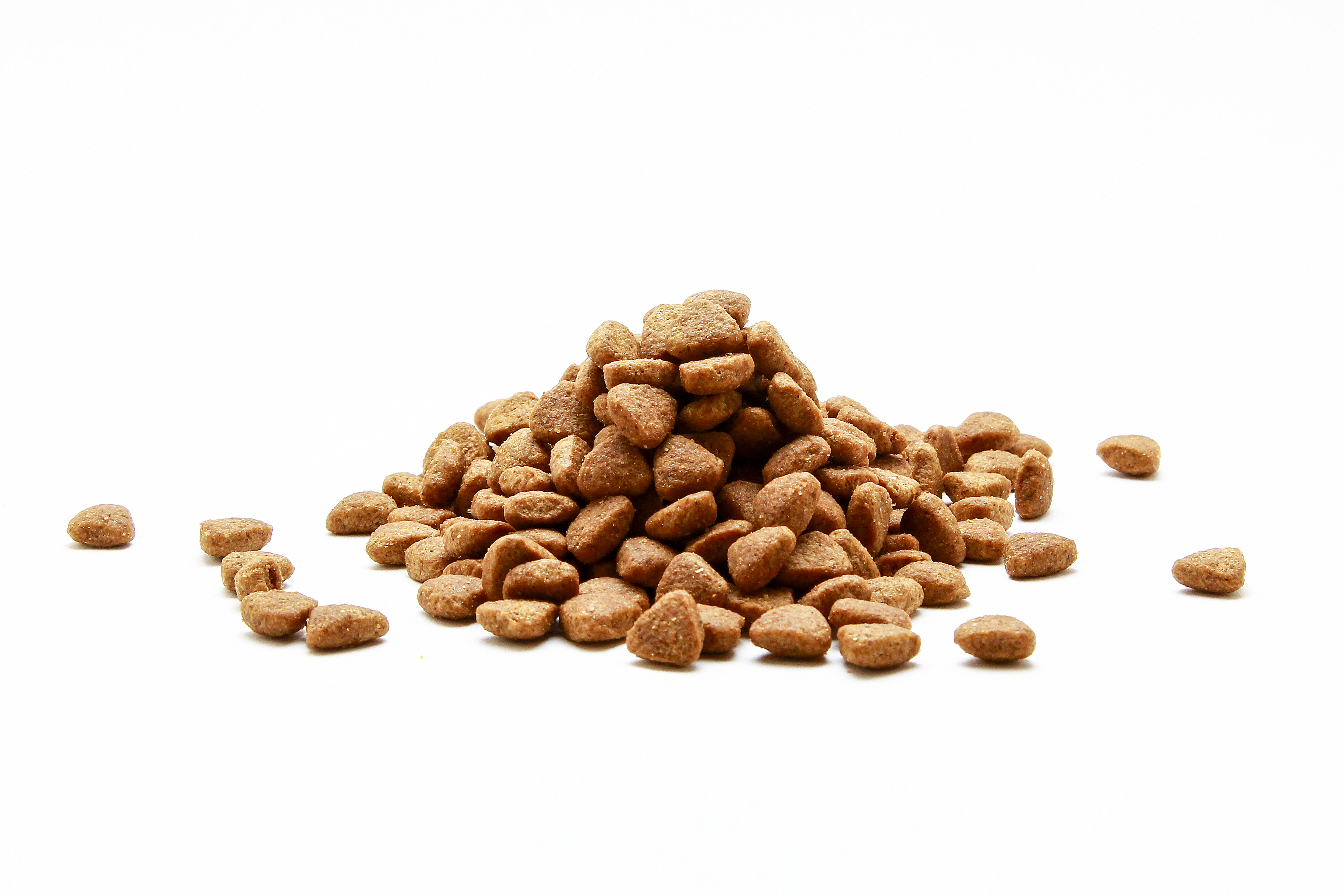 Aliments pour animaux de compagnie, arrière-plan blanc