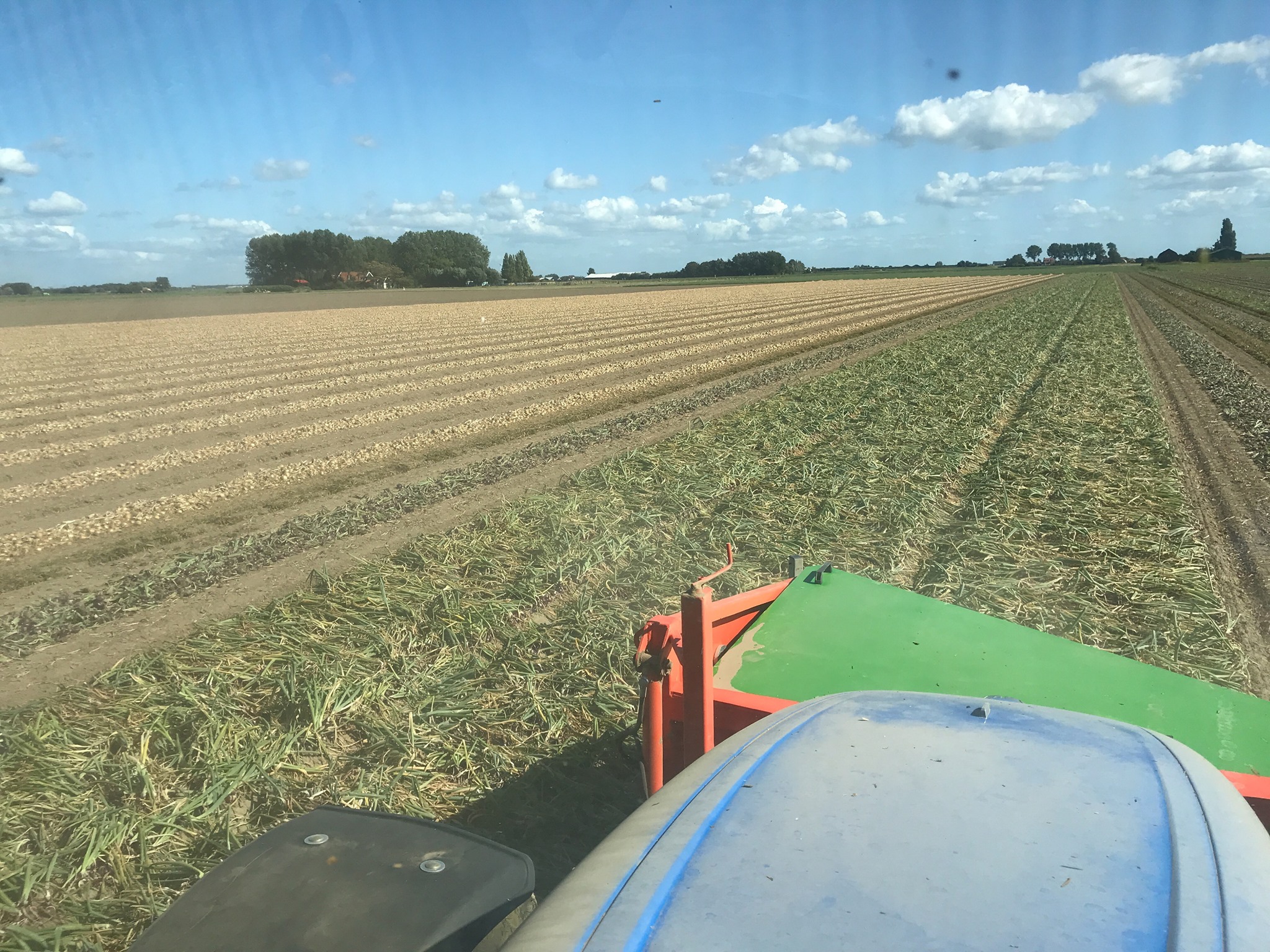 Tractor in field