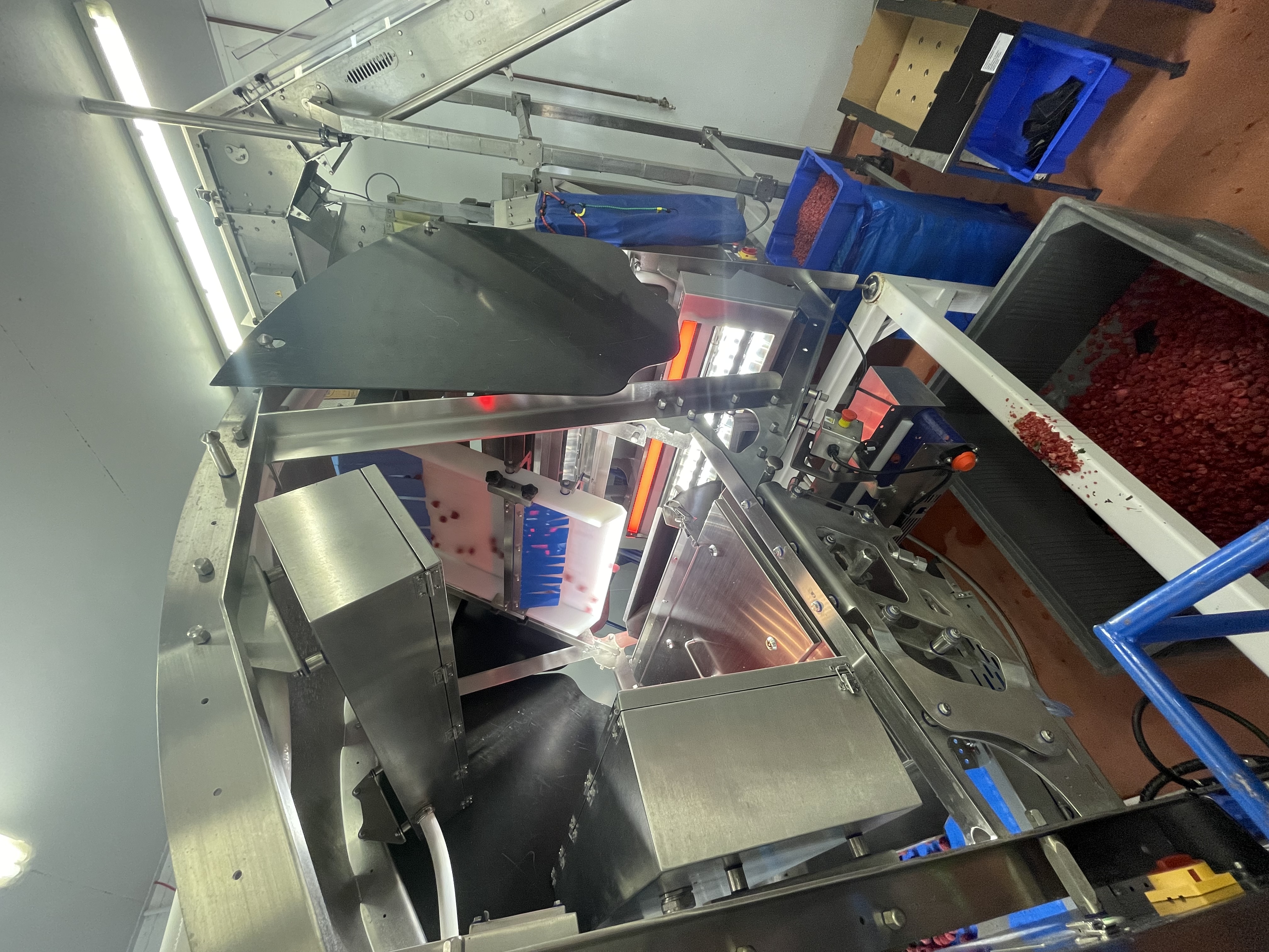 The SORTEX FA1 set up and ready to run frozen raspberries
