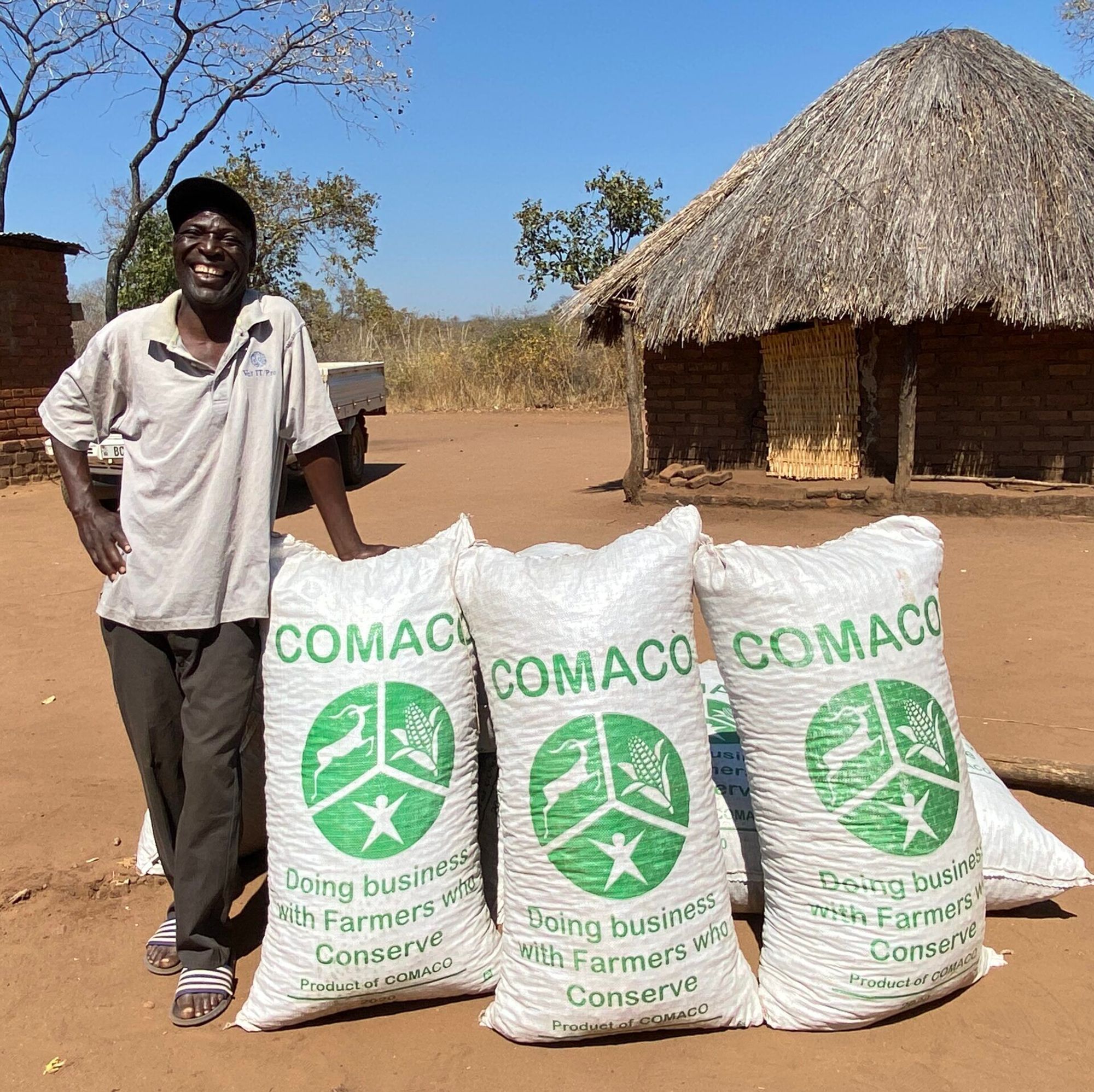 COMACO buys the harvests of more than 230,000 farming families in Zambia and creates incentives for the protection of land and wildlife. 