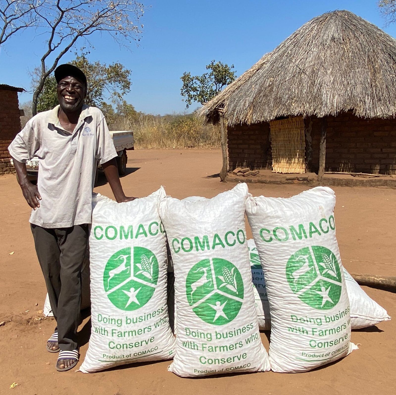 COMACO buys the harvests of more than 230,000 farming families in Zambia and creates incentives for the protection of land and wildlife. 