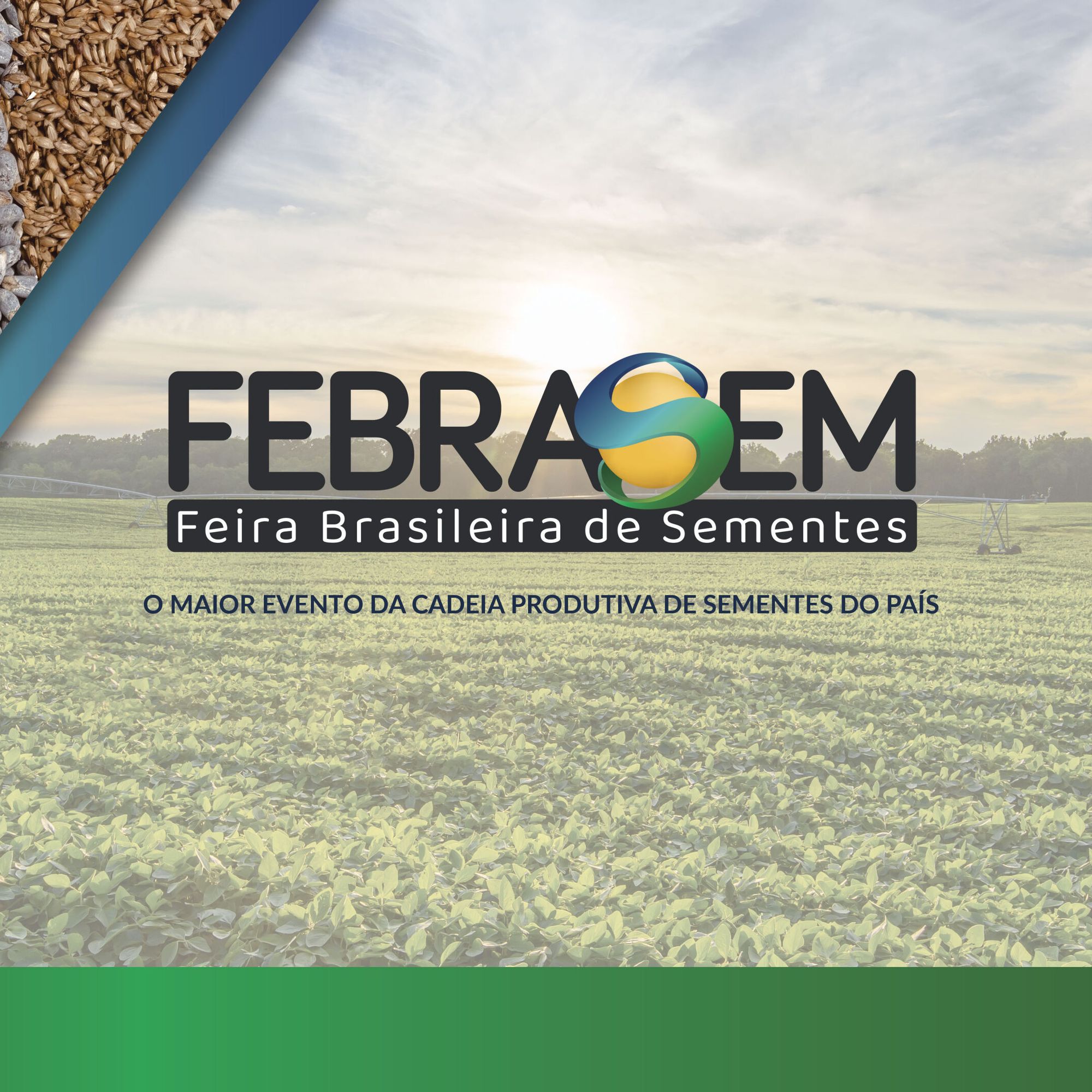 Febrasem 2025