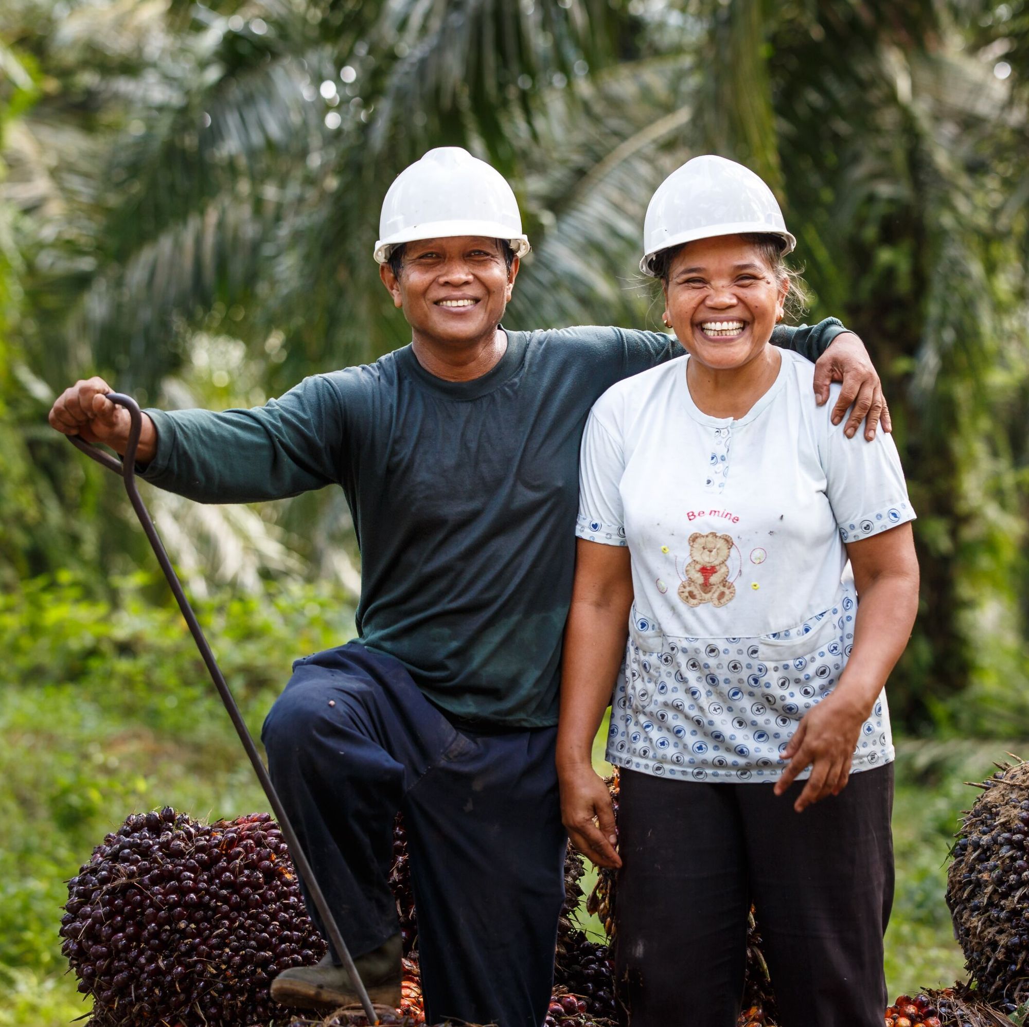 /content/dam/Canto/AAK/Smallholders/AAK_Smallholders.RSPO_Katimo___Ninik