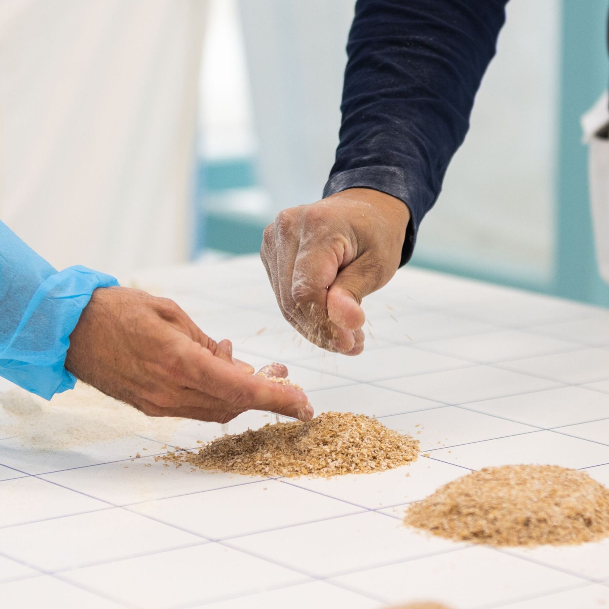 Customer_Harivasa_Cereal_Technology_Center_Mill-1264.jpg