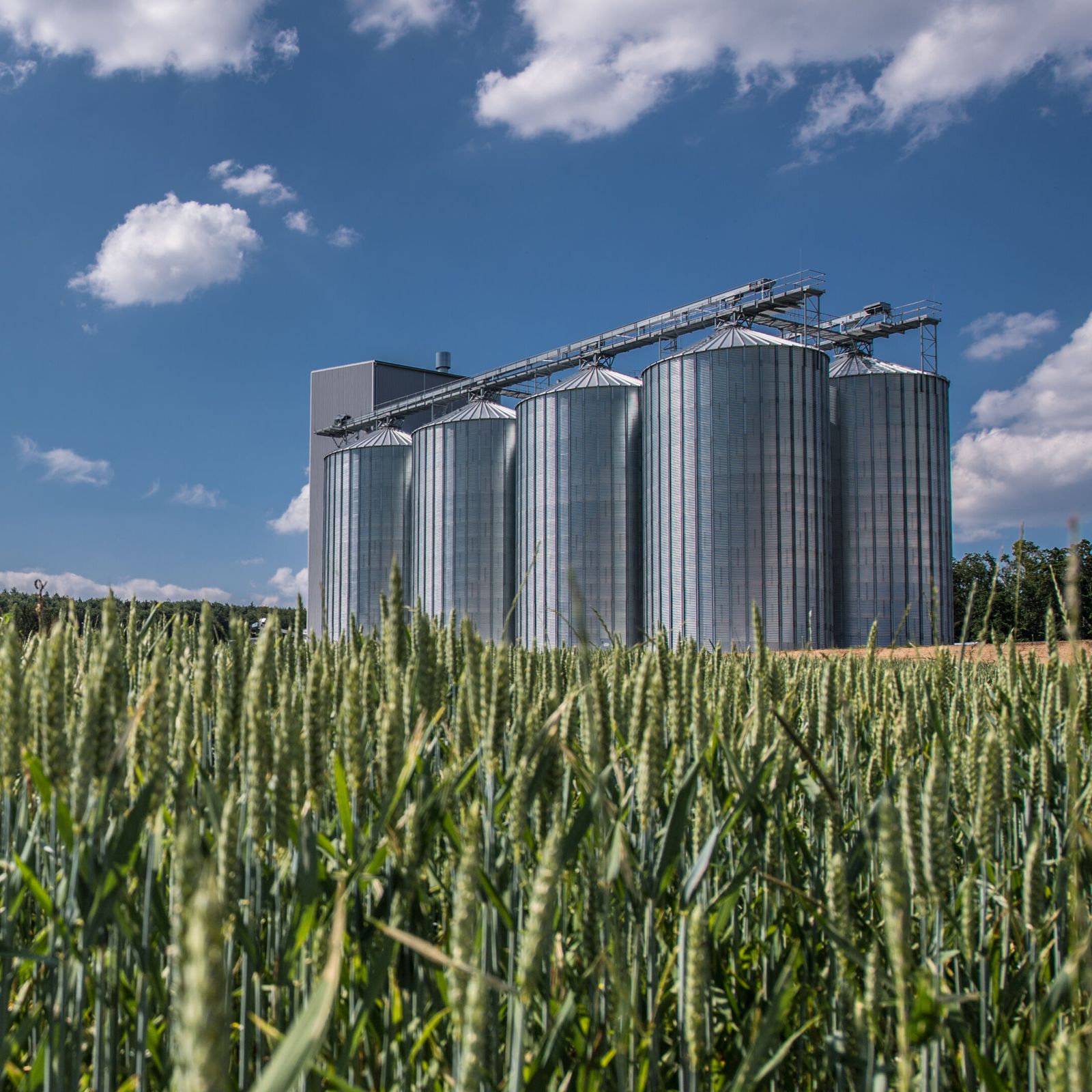 Grain storage plant on a field of wheat 