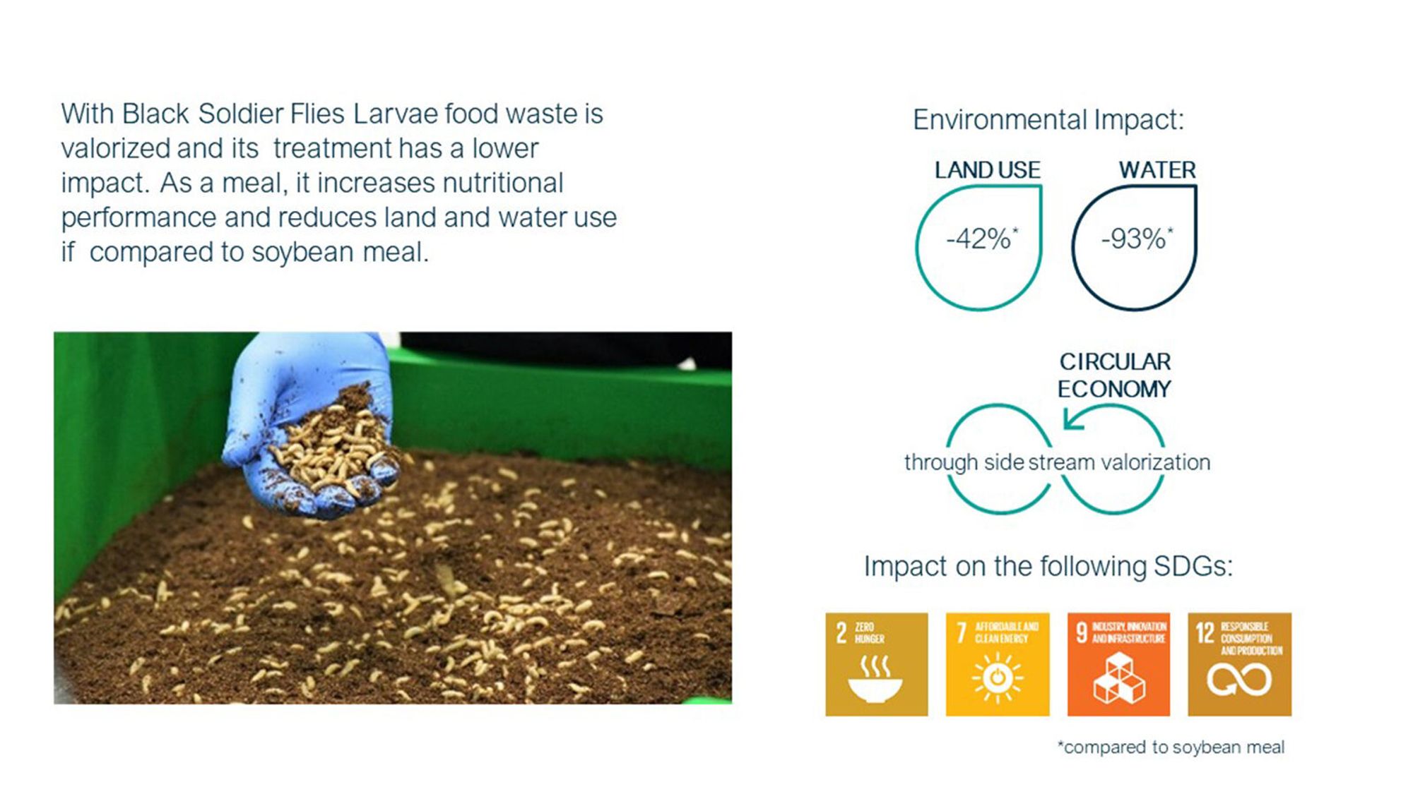 Insects in animal feed