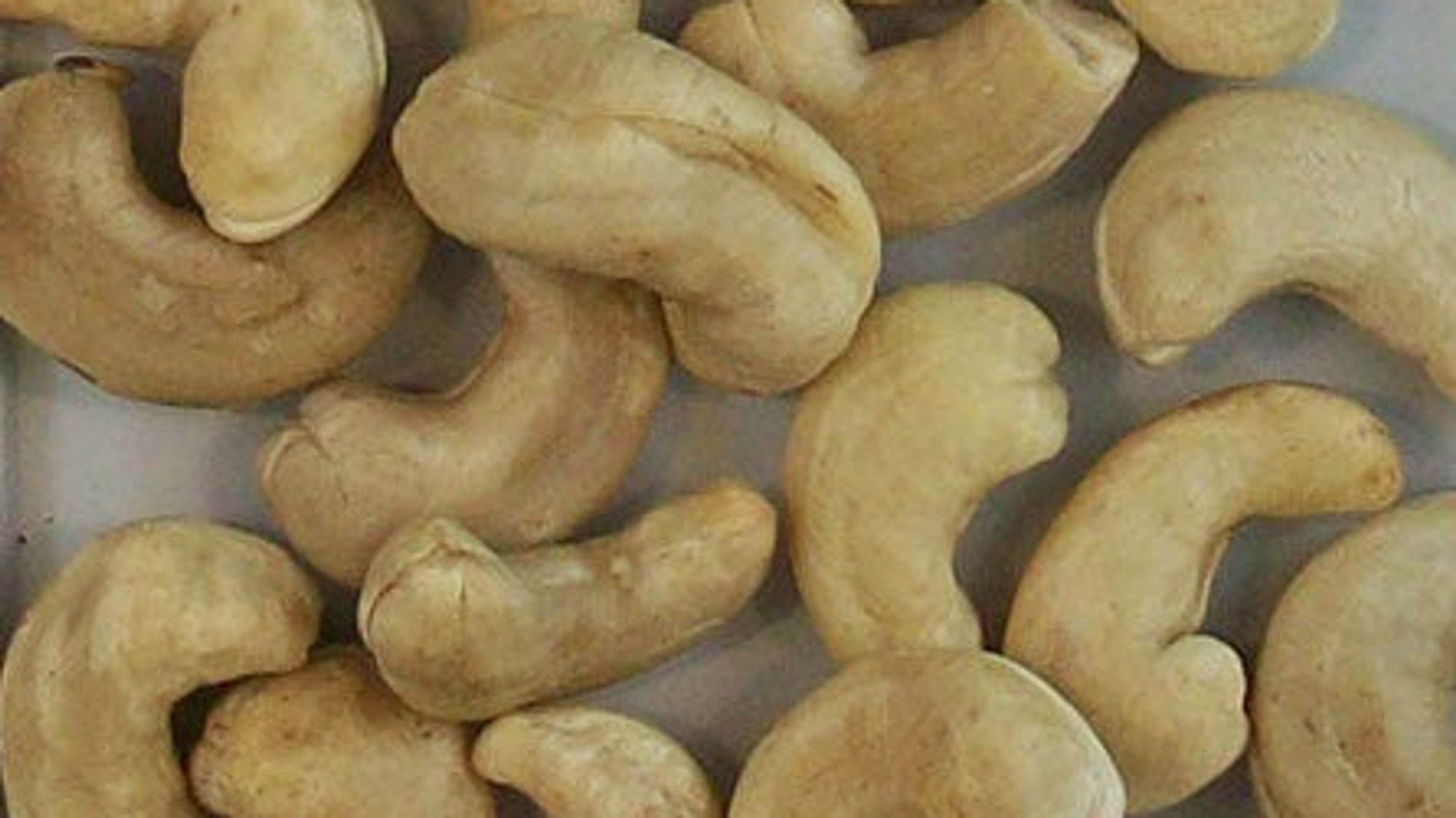 Cashew Accept Quality