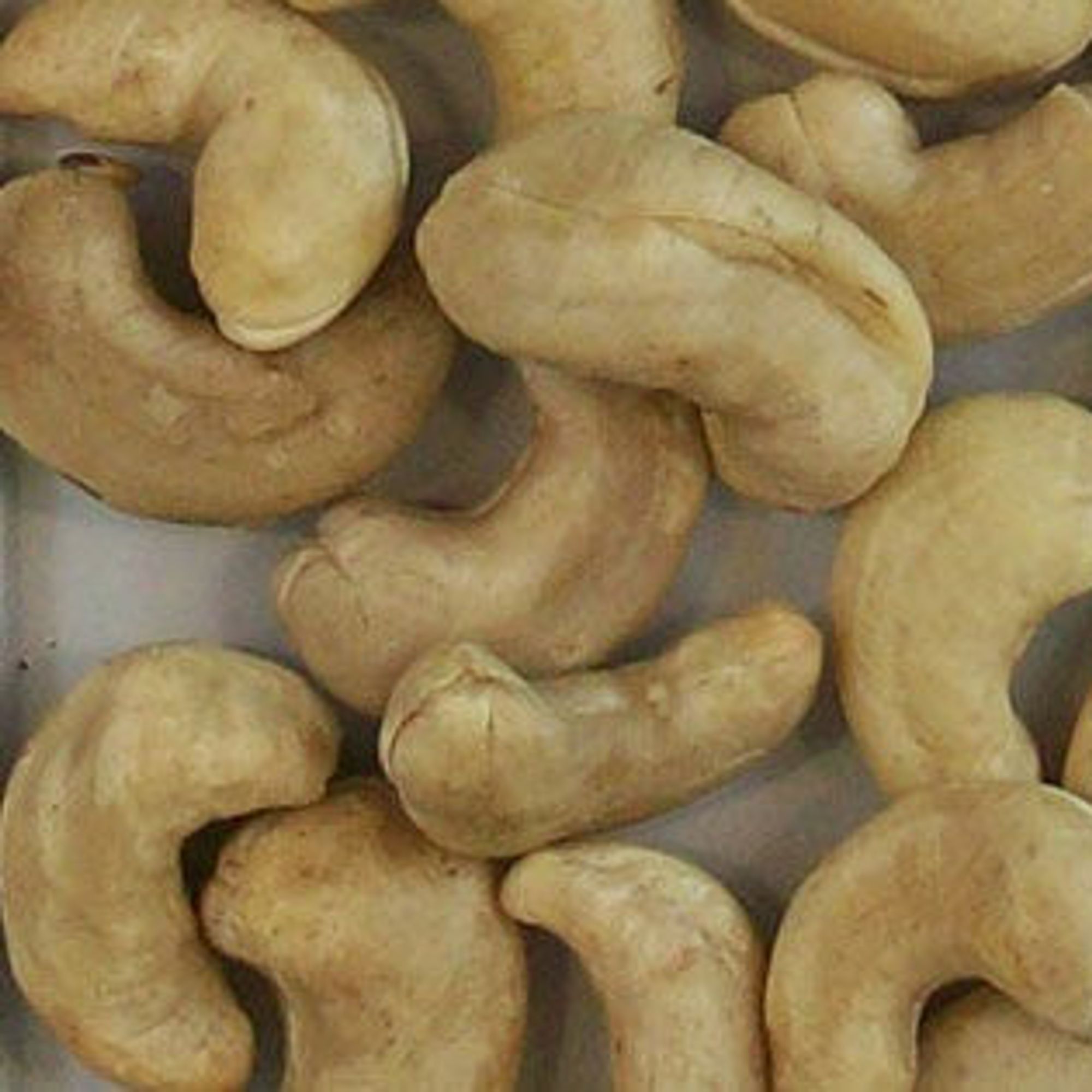 Cashew Accept Quality