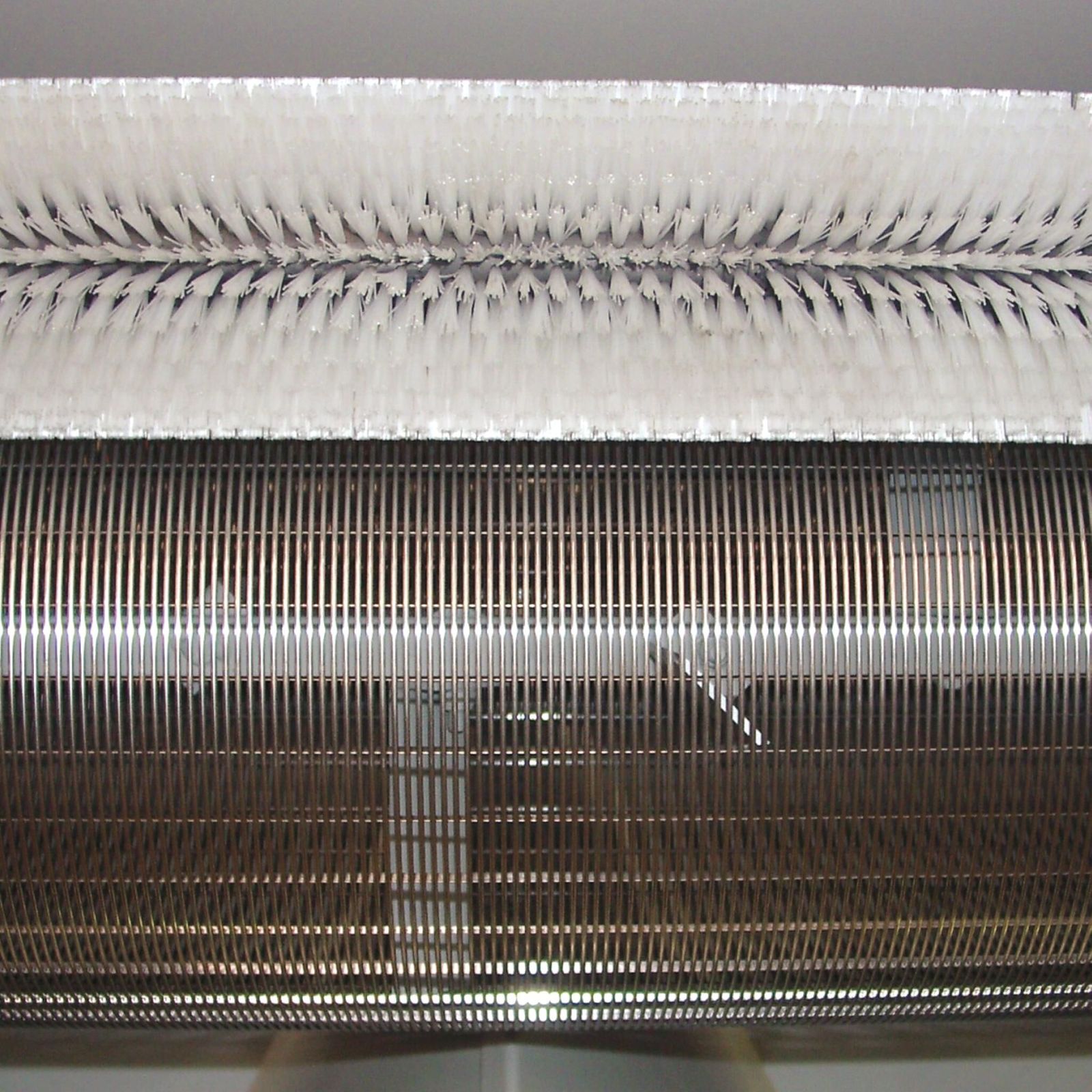 DRGA_6315