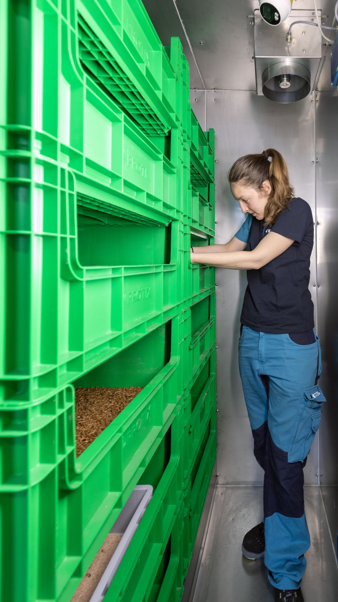 Jessica Wild checks the larval weight gain and the structure and temperature of the feed.