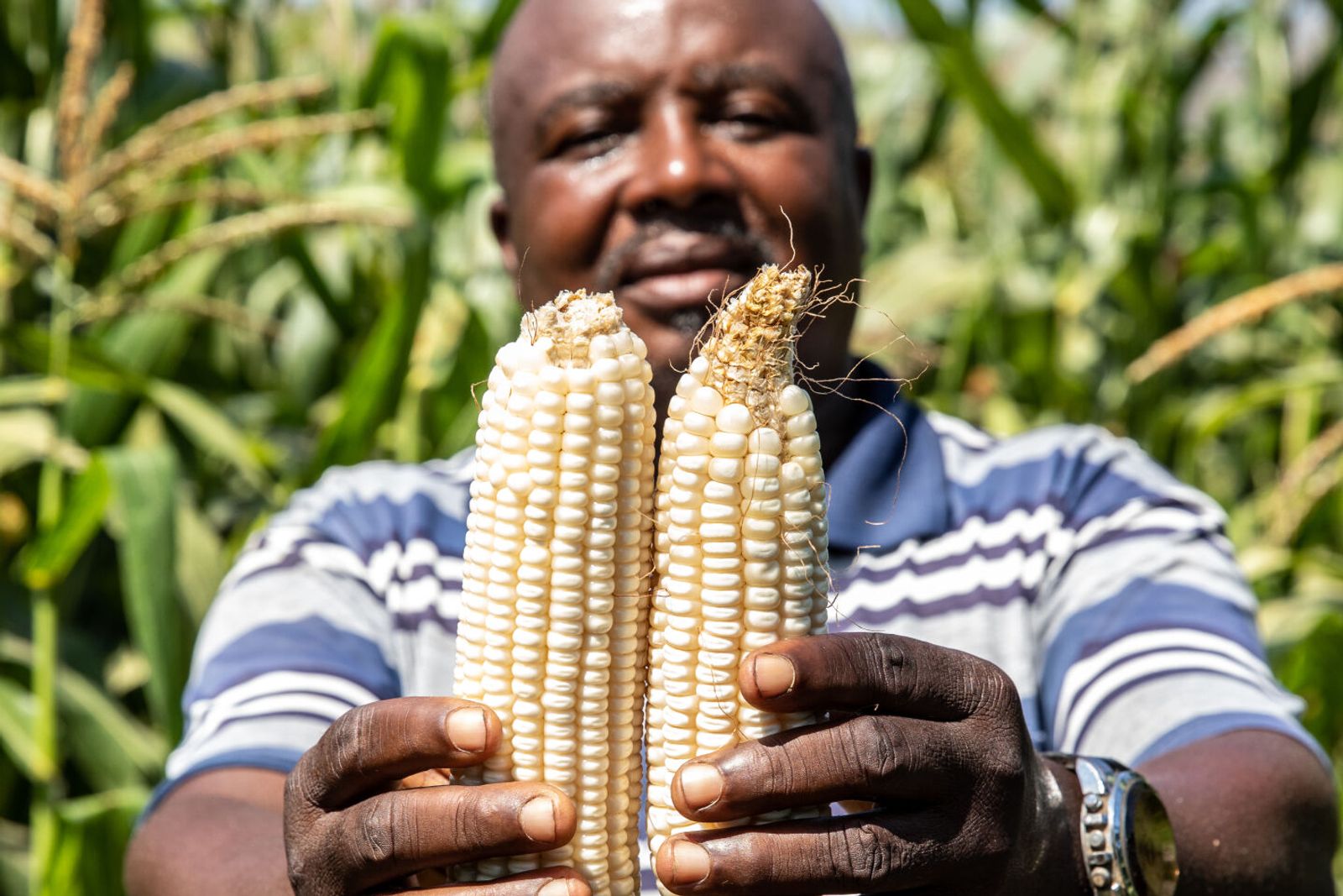 The Agri branch of Carrinho aims to connect 1 million farmers with industrial buyers in the coming years. 