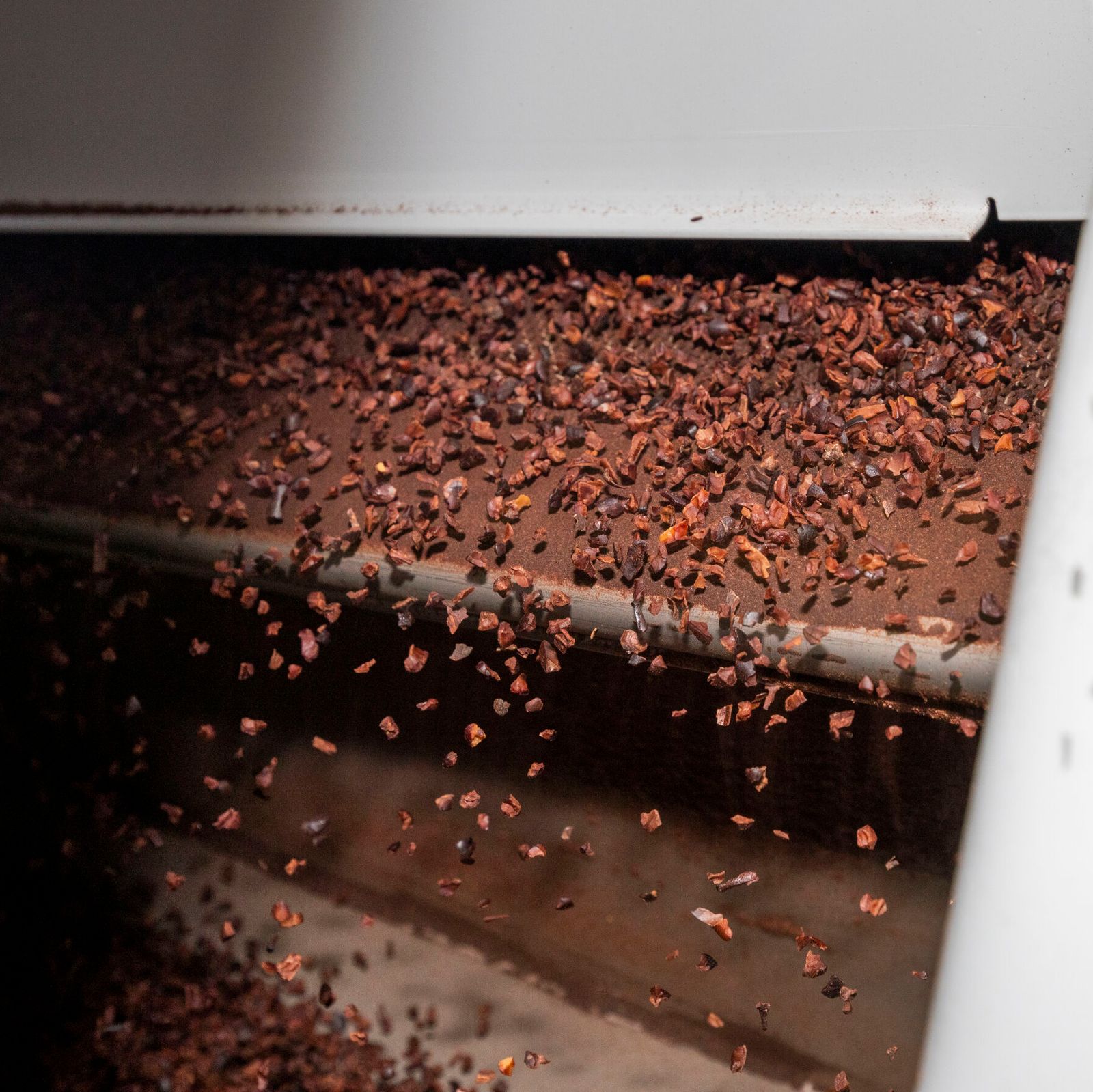 All products that Pronatec processes are fair trade products. So are the cocoa nibs.