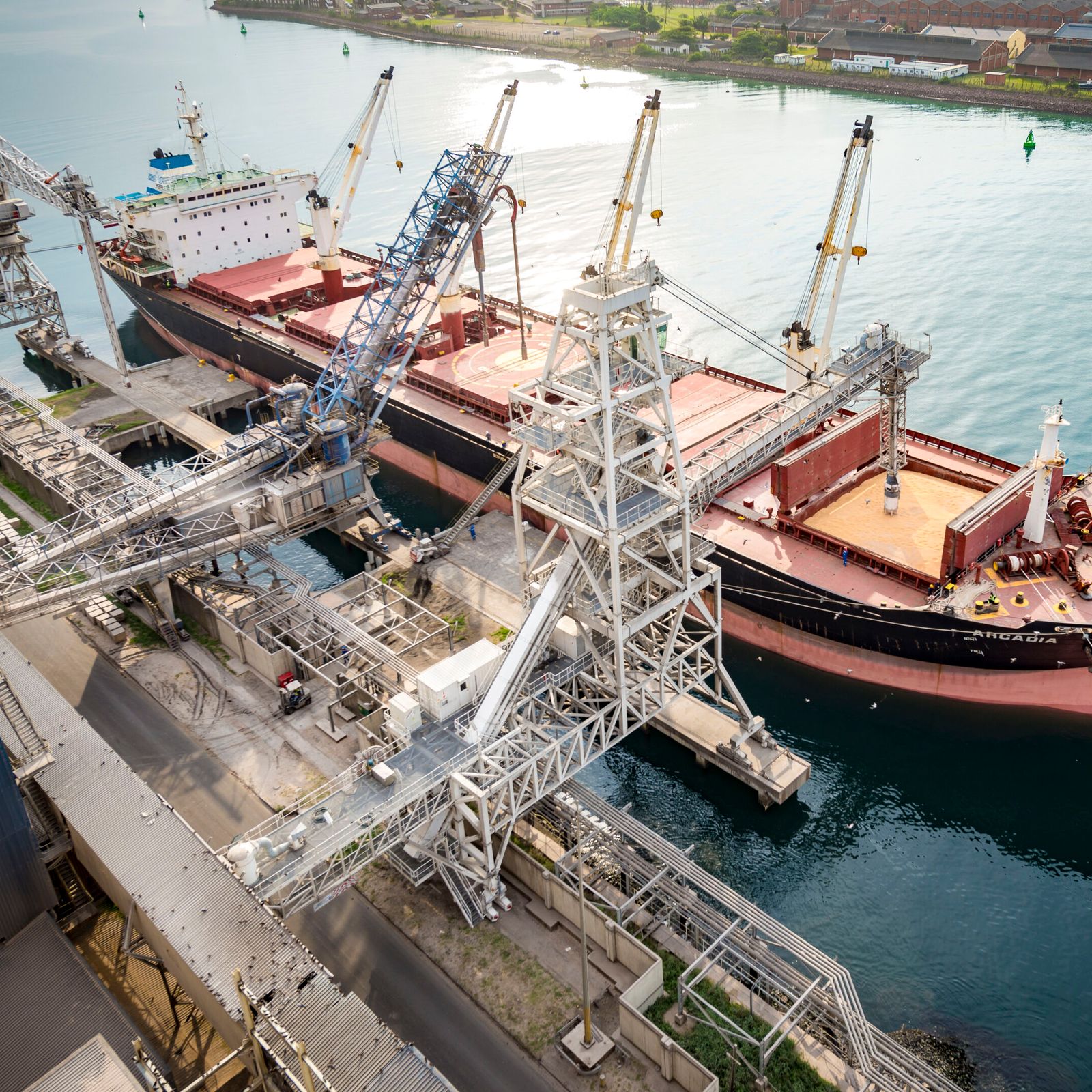 Loading and unloading grain at a harbor using Bühler shiploaders and loaders 