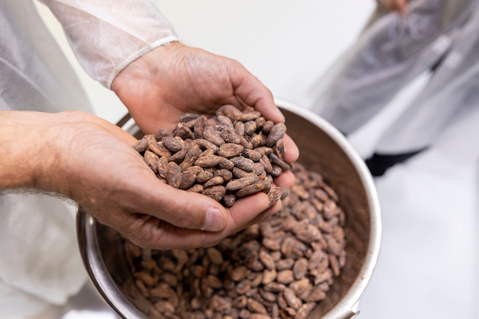 A PRONATEC employee checks the quality of the cocoa beans.