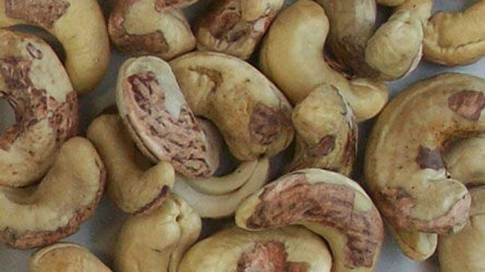 Cashew Reject Quality