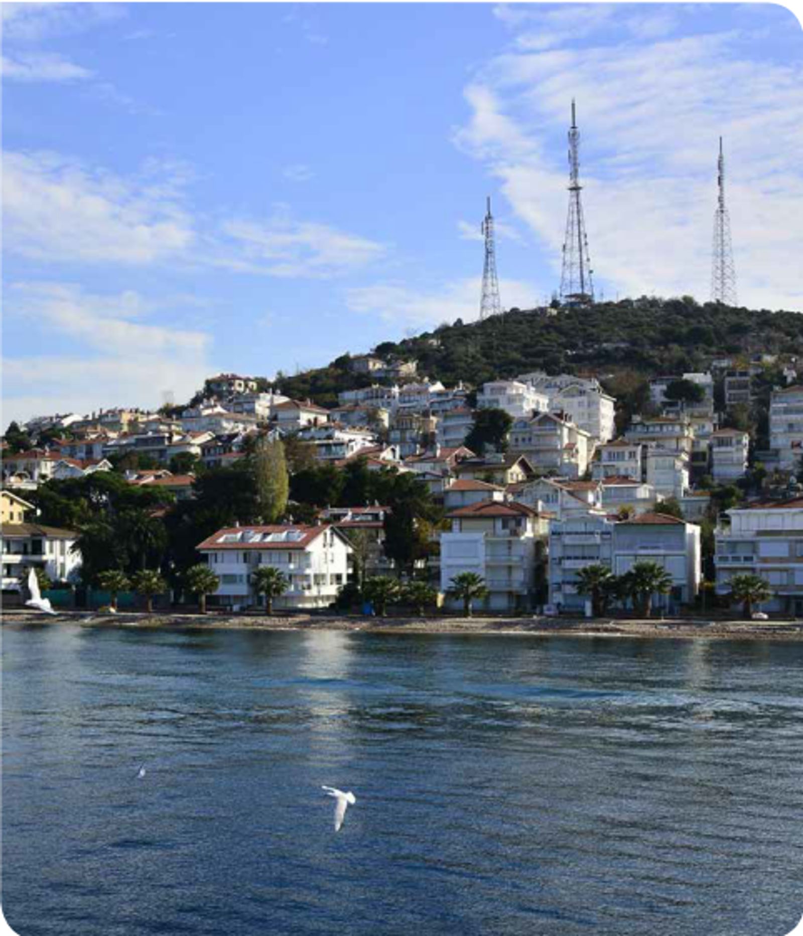 Turkey Coastside