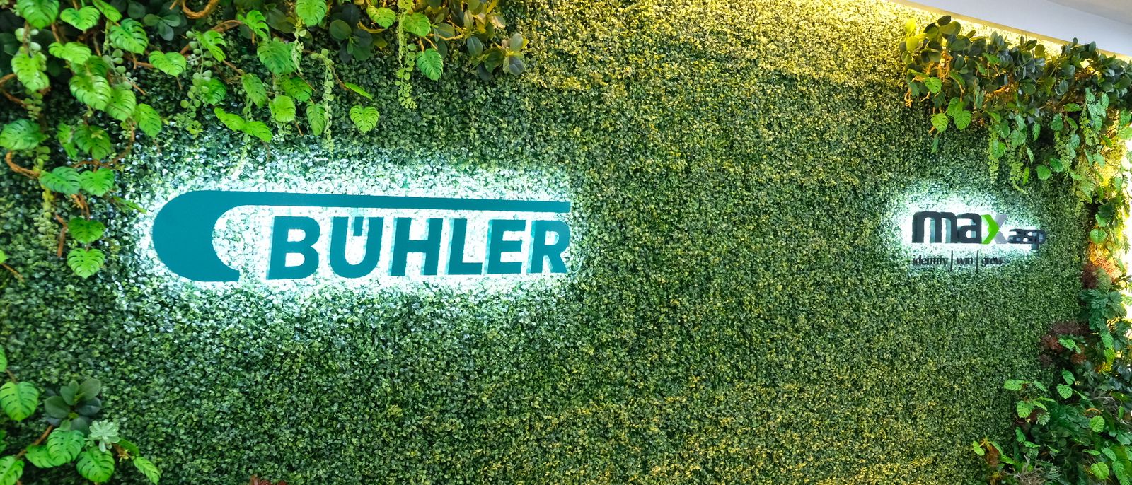 Header Home