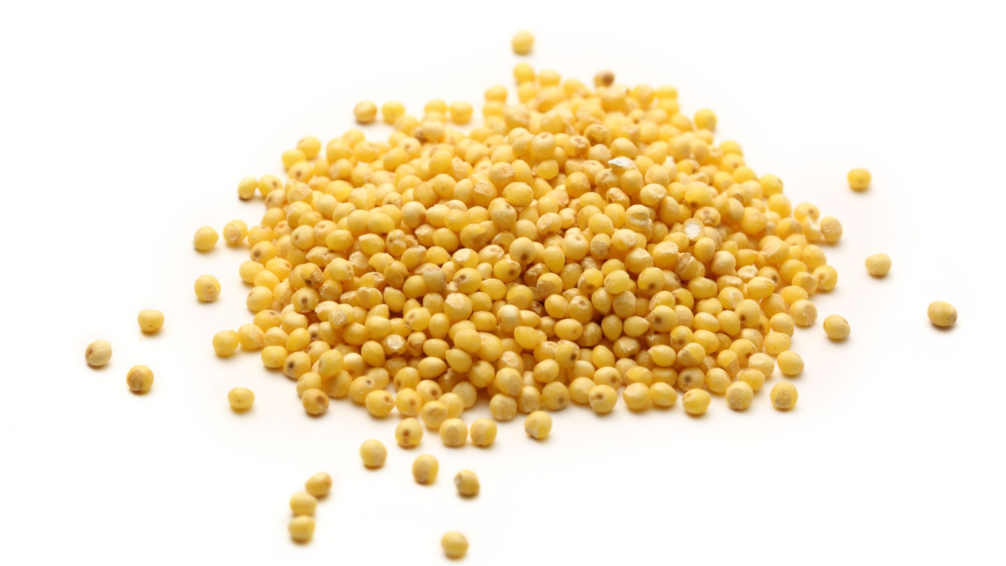 Pearled millet