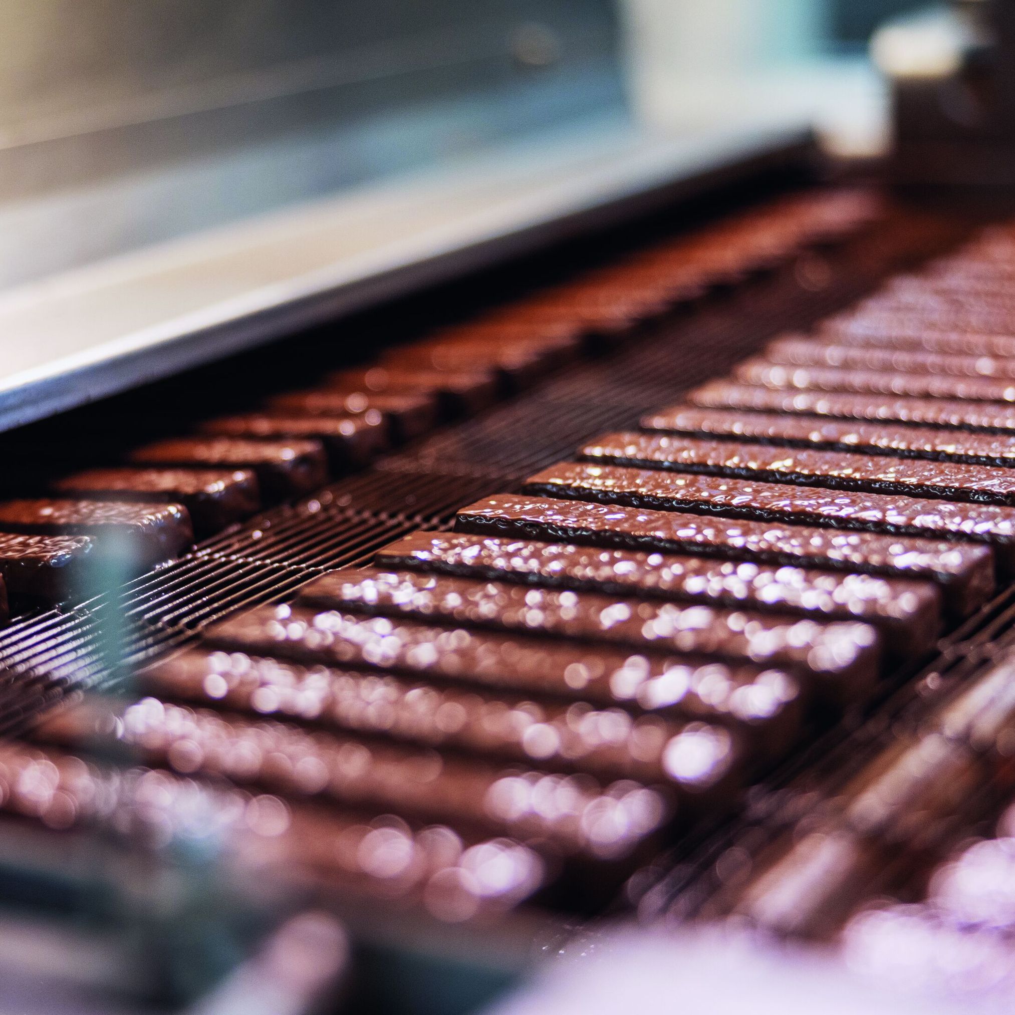 chocolate wafers produced at Kägi within one day cover a distance of 100 kilometers.